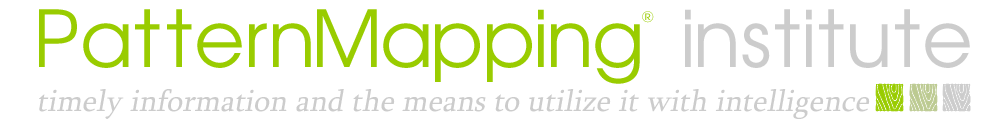 PatternMapping institute logo