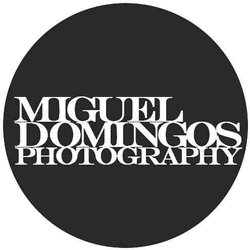 miguel domingos photography identity